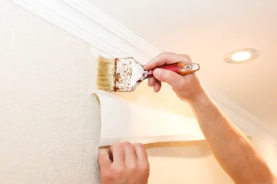 Pose de papier peint à Ville-di-Pietrabugno — revêtements muraux et toiles de verre